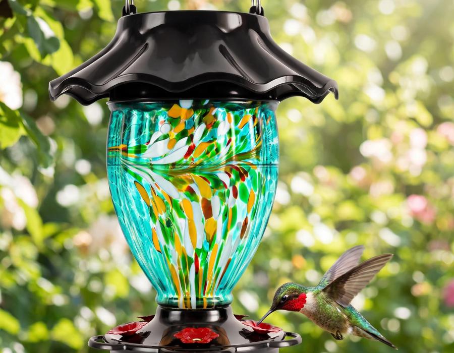 Hummingbird feeding at the red blossom ports of the glass feeder