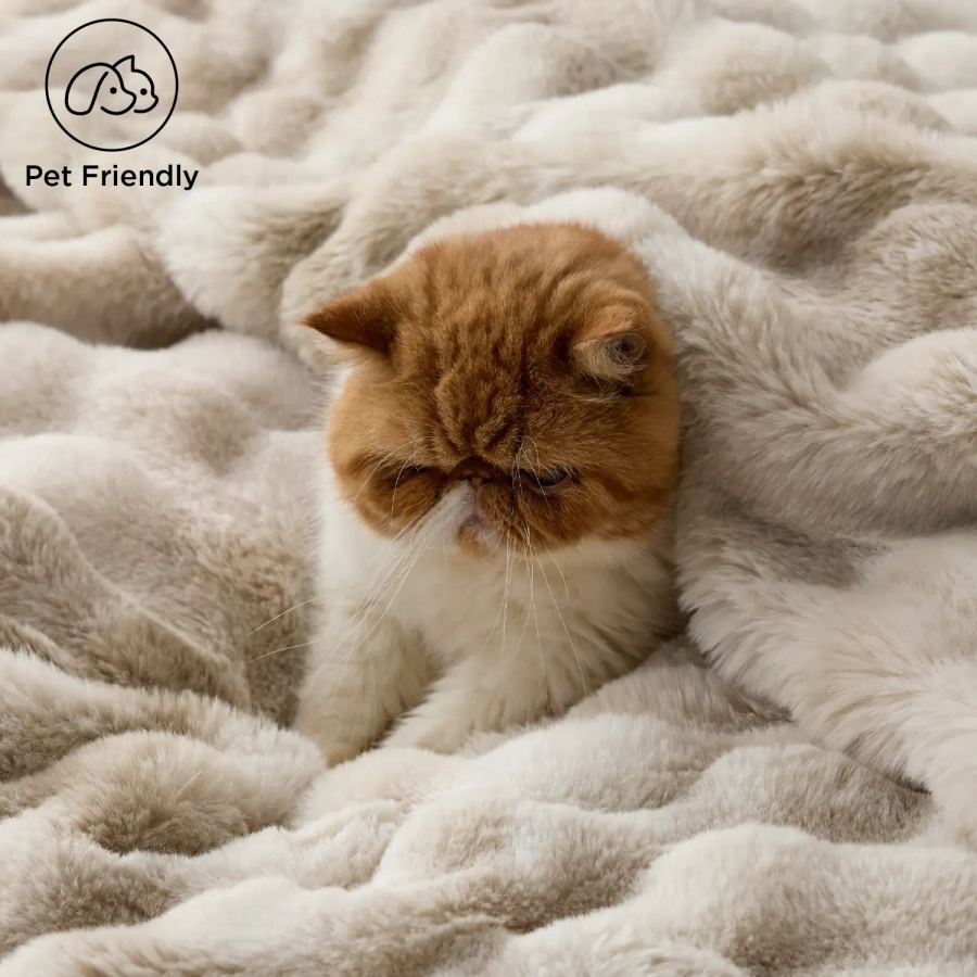 A cat asleep, curled into the blanket